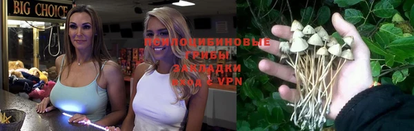 бошки Верея