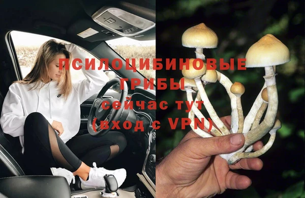 дурь Володарск