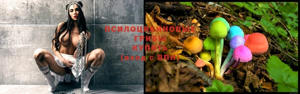 бошки Верея