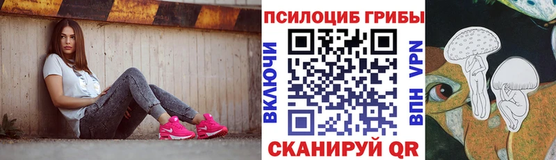 где найти наркотики  Валдай  ссылка на мегу онион  Псилоцибиновые грибы ЛСД 